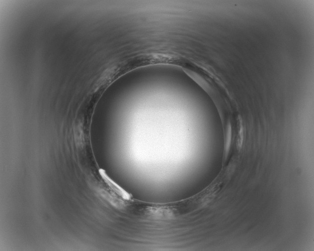 X0000080700520200612151318