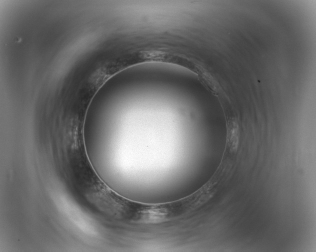 X0000080700525200612151318