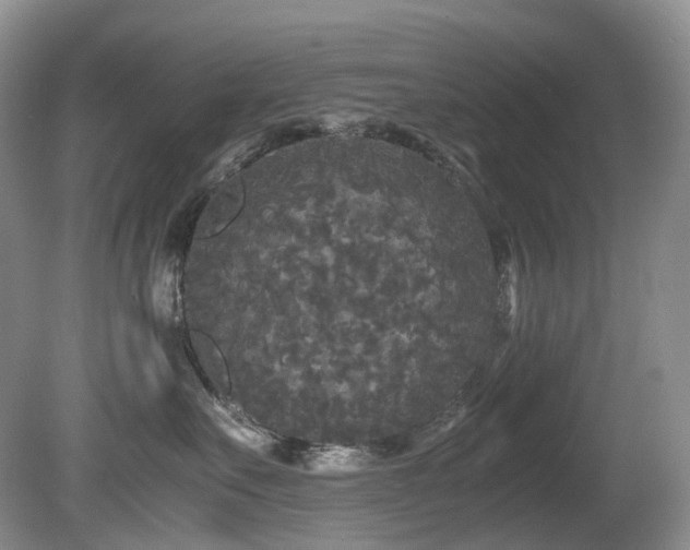 X0000080700527200612151318