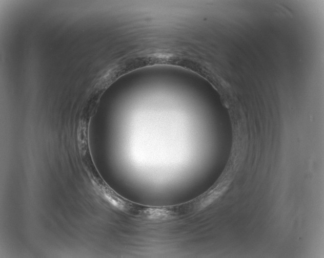 X0000080700528200612151318