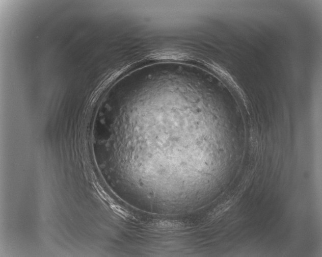 X0000080700529200612151317