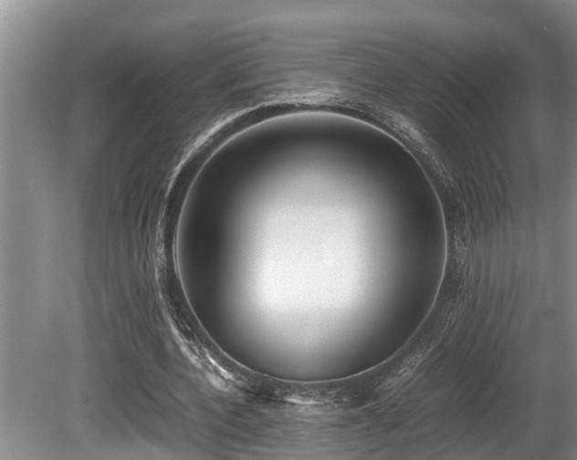 X0000080700532200612151317
