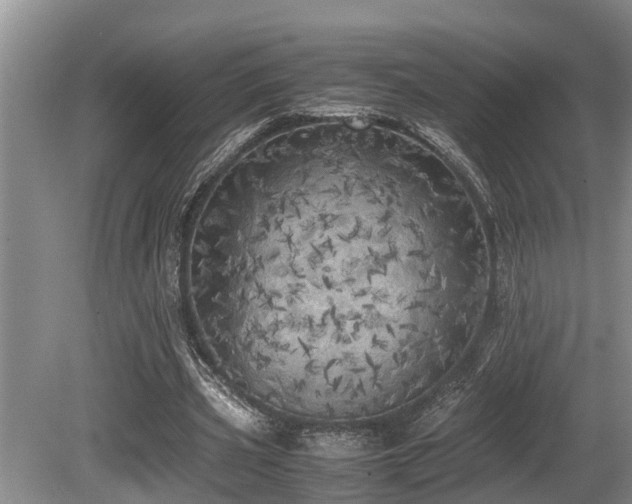X0000080700533200612151317