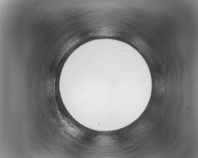 X0000080700534200612151317