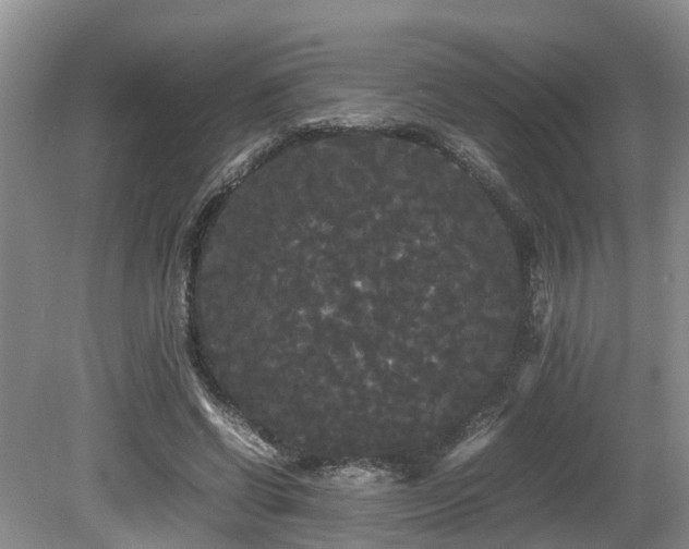 X0000080700542200612151317
