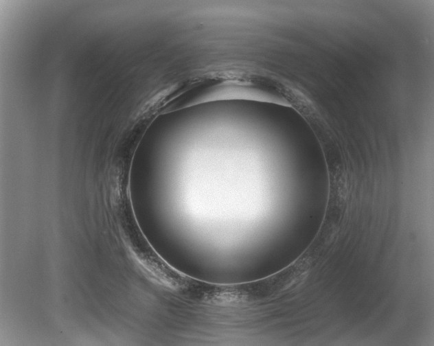 X0000080700546200612151317