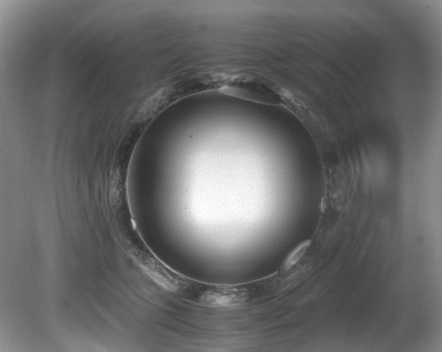 X0000080700563200612151317