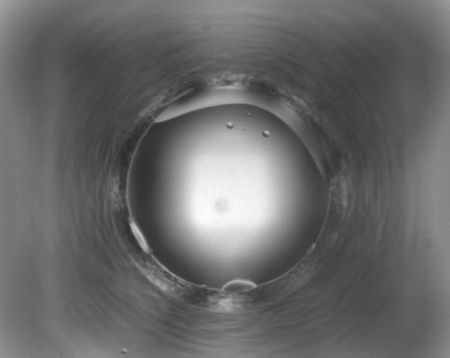 X0000080700564200612151317