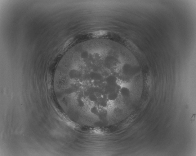 X0000080700565200612151317