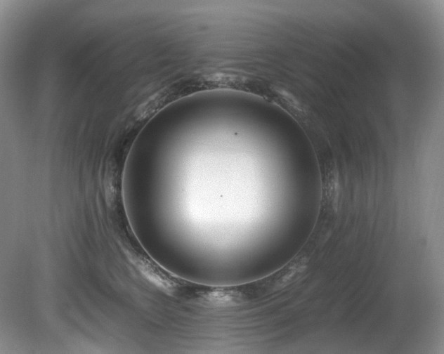 X0000080700566200612151317
