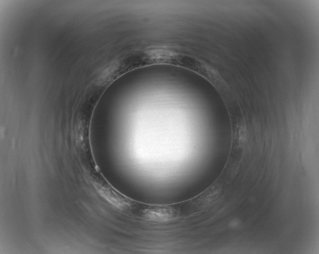 X0000080700567200612151318