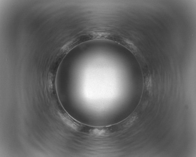 X0000080700570200612151318