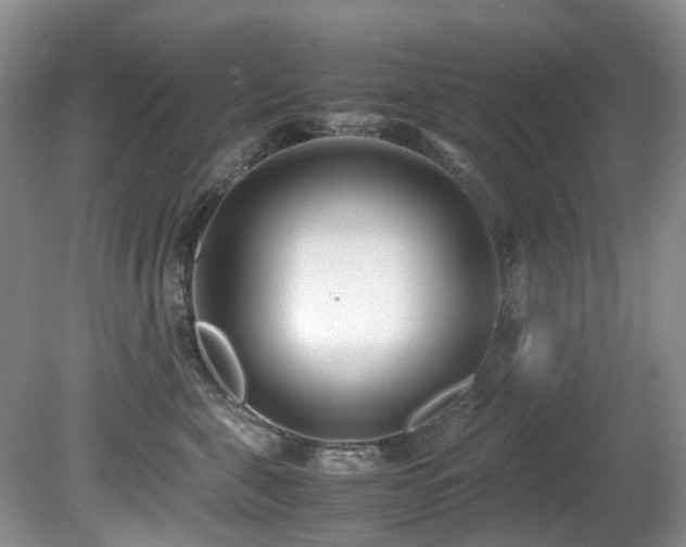 X0000080700571200612151318