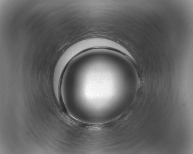 X0000080700572200612151318
