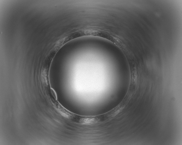 X0000080700575200612151318
