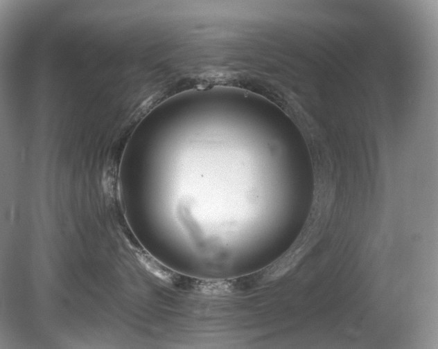 X0000080700576200612151318