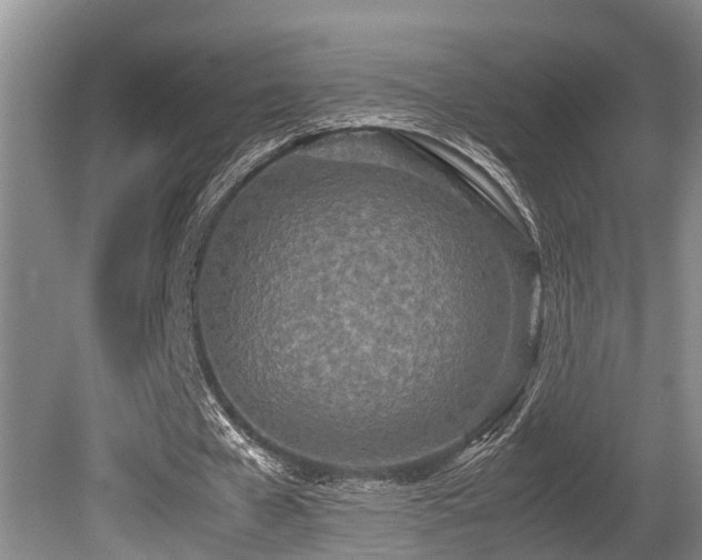 X0000080700577200612151317