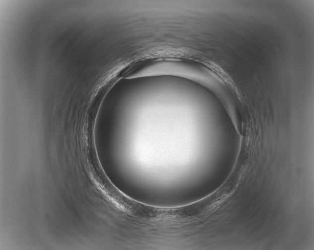 X0000080700581200612151317