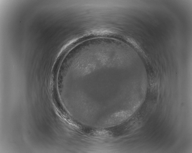 X0000080700583200612151317