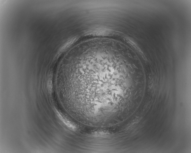 X0000080700586200612151317