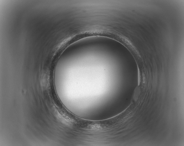 X0000080700588200612151317