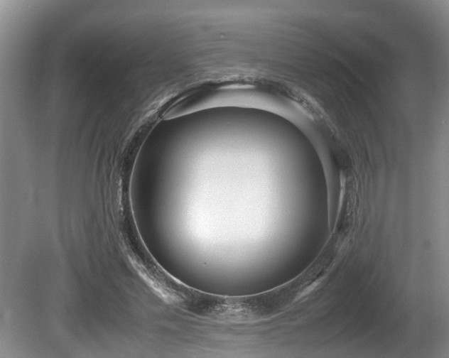 X0000080700589200612151317