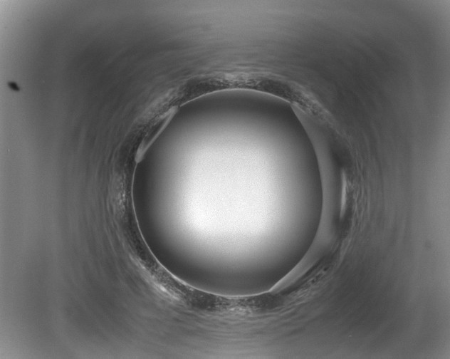 X0000080700593200612151317