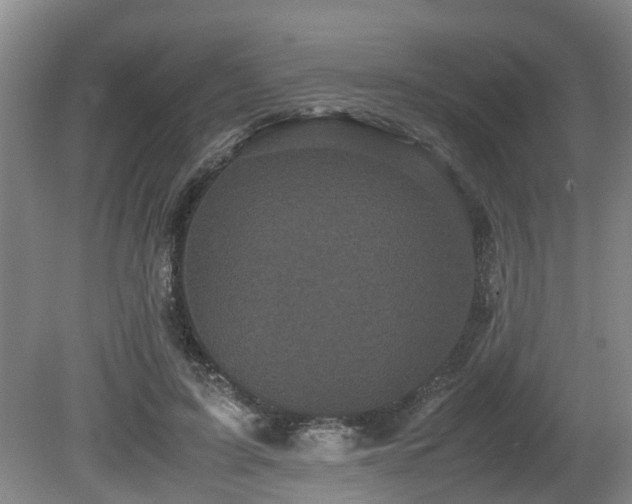 X0000080700595200612151317