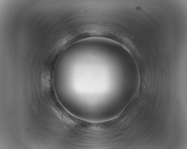 X0000080700596200612151317