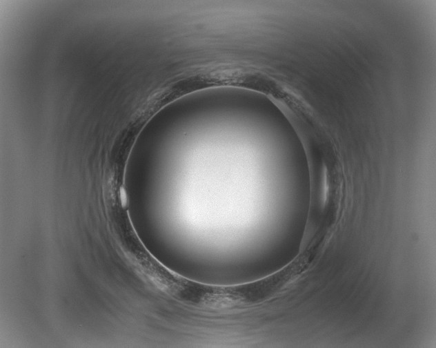 X0000080700597200612151317