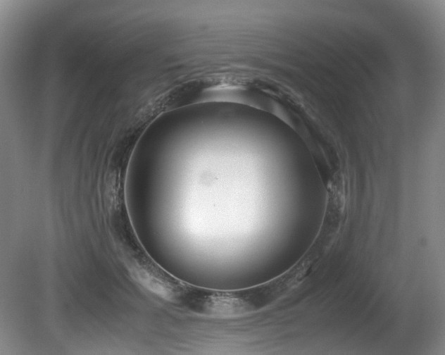 X0000080700605200612151316
