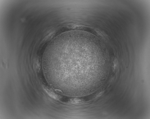 X0000080700607200612151316