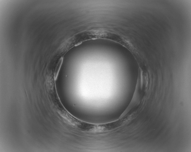 X0000080700609200612151316