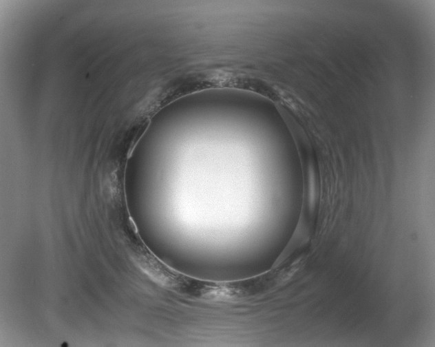 X0000080700611200612151316