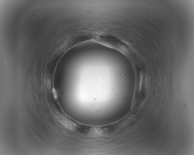 X0000080700613200612151316