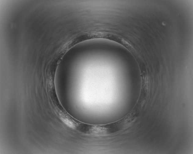 X0000080700617200612151316