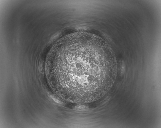X0000080700619200612151316