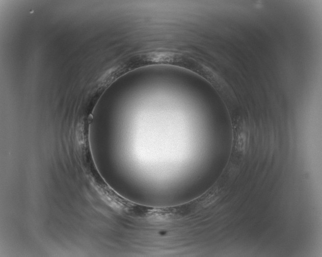 X0000080700620200612151316