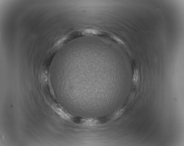 X0000080700621200612151316