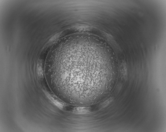 X0000080700622200612151316