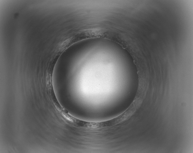 X0000080700624200612151316