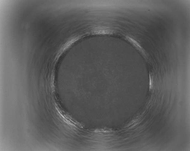 X0000080700627200612151315