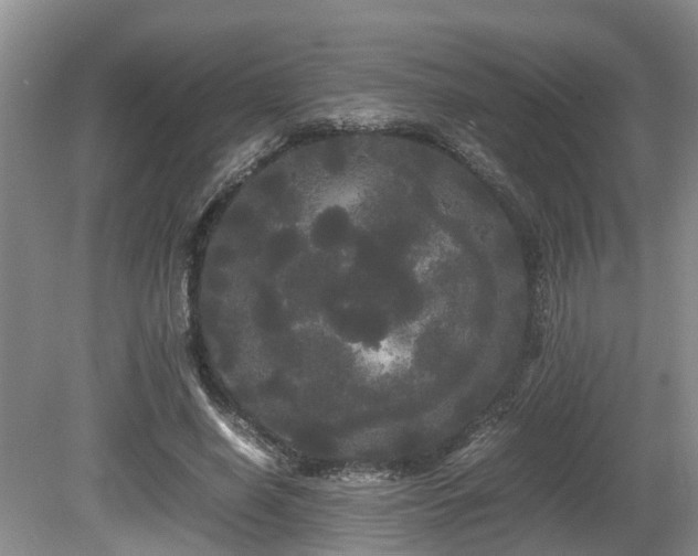 X0000080700638200612151315