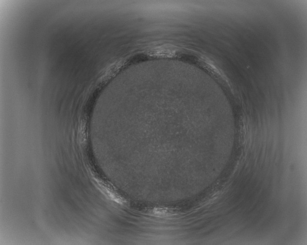 X0000080700641200612151316