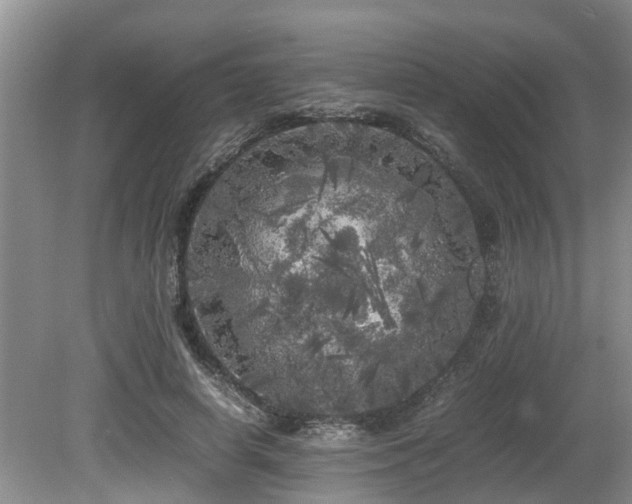 X0000080700642200612151316