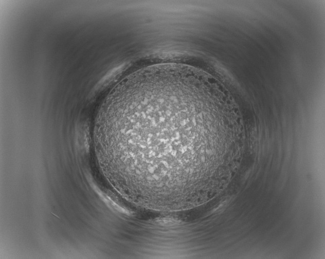 X0000080700644200612151316