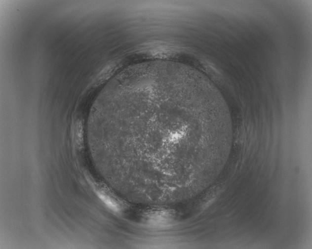X0000080700646200612151316