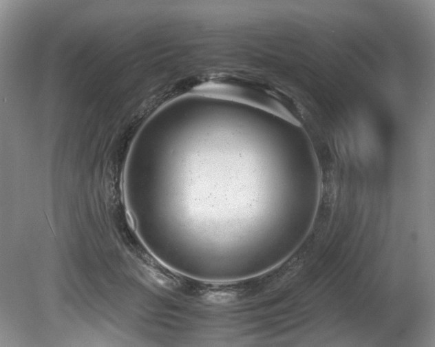 X0000080700653200612151316