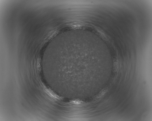 X0000080700654200612151316
