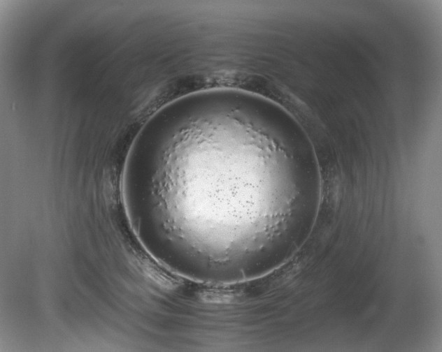 X0000080700661200612151316